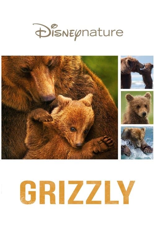 Affiche de Grizzly