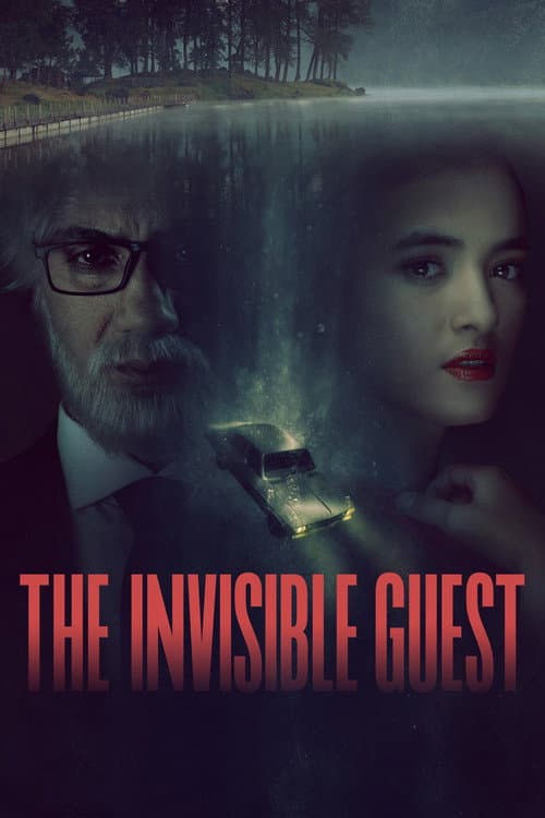 Affiche de The Invisible Guest