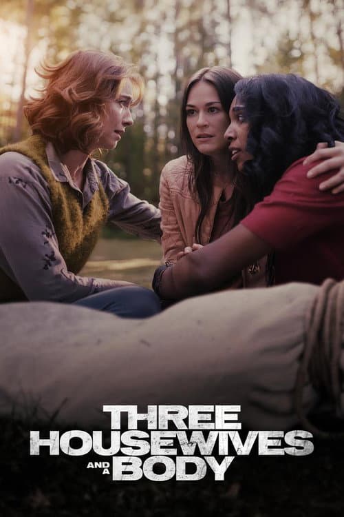 Affiche de Trois femmes et un secret