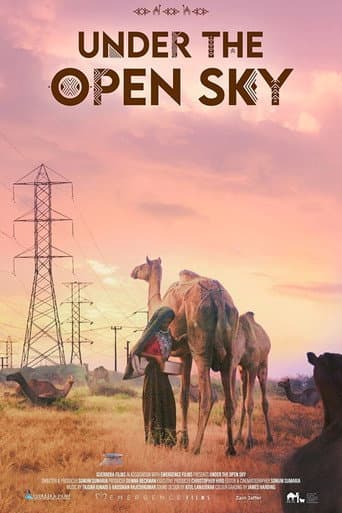Affiche de Under the Open Sky