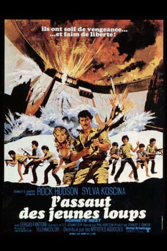 Affiche de L'Assaut des jeunes loups
