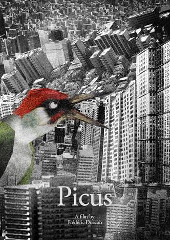 Affiche de Picus