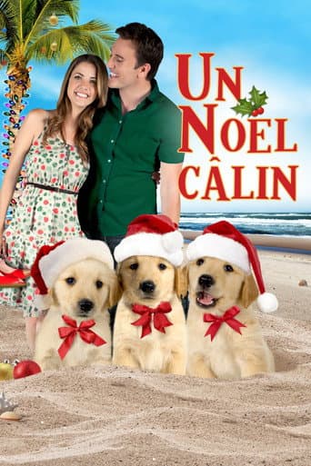 Affiche de 3 amis pour Noël