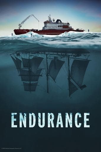 Affiche de Endurance