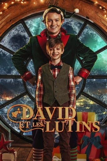 Affiche de David et les lutins