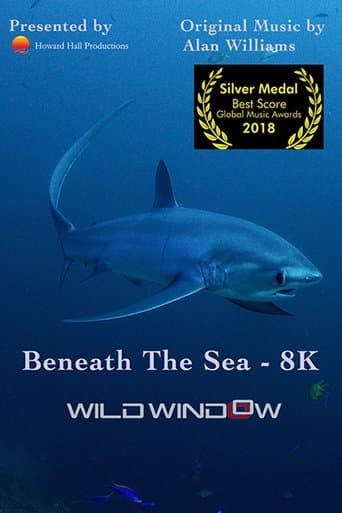 Affiche de Wild Window: Beneath the Sea