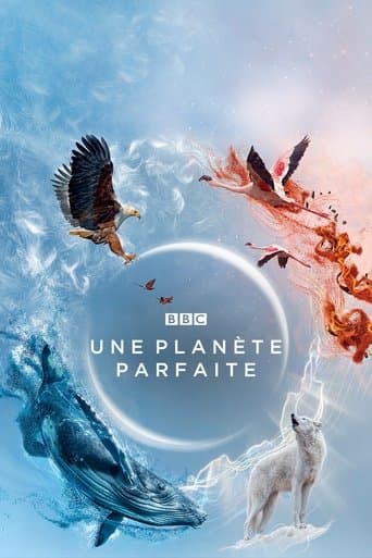 Affiche de Une planète parfaite