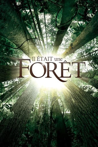 Affiche de Il était une forêt