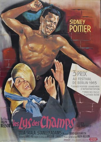 Affiche de Le Lys des champs