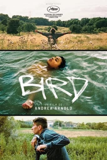 Affiche de Bird