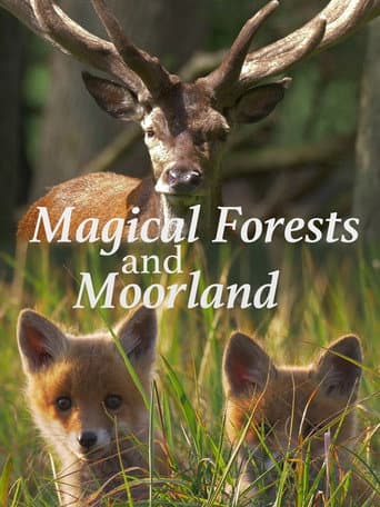 Affiche de Magical Forests and Moorland