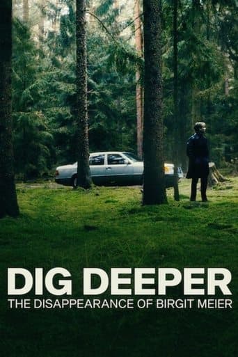 Affiche de Une vérité enfouie : La disparition de Birgit Meier