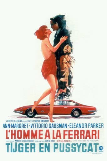 Affiche de L'Homme à la Ferrari