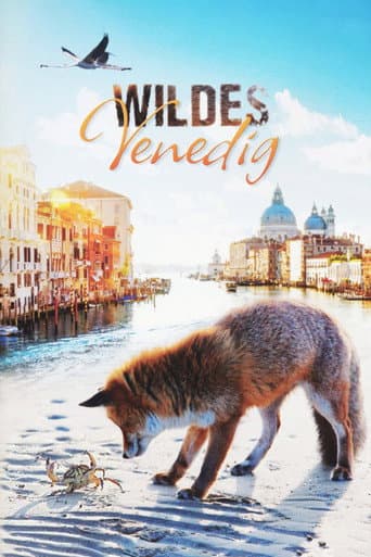 Affiche de Wildes Venedig
