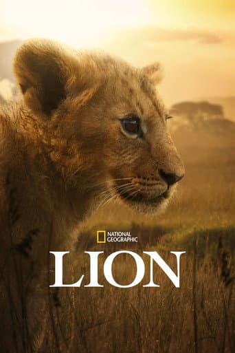 Affiche de Lion