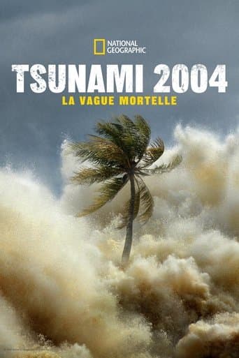 Affiche de Tsunami 2004 : La Vague Mortelle