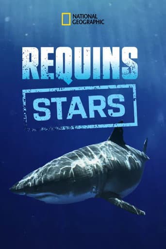Affiche de Requins stars