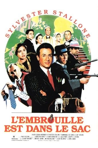 Affiche de L'Embrouille est dans le sac
