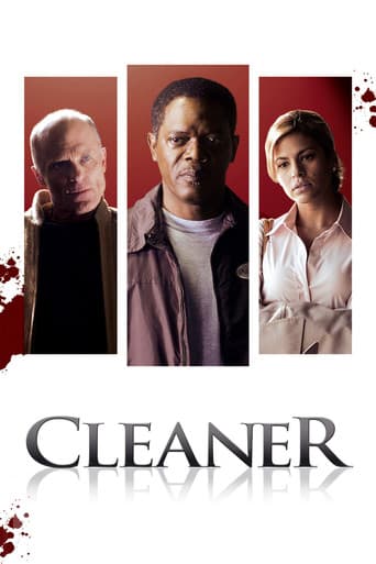 Affiche de Cleaner