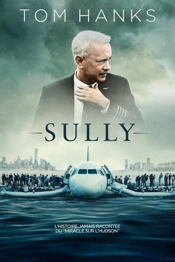 Affiche de Sully