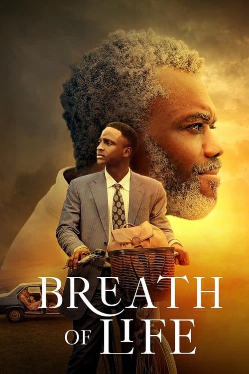 Affiche de Un souffle de vie