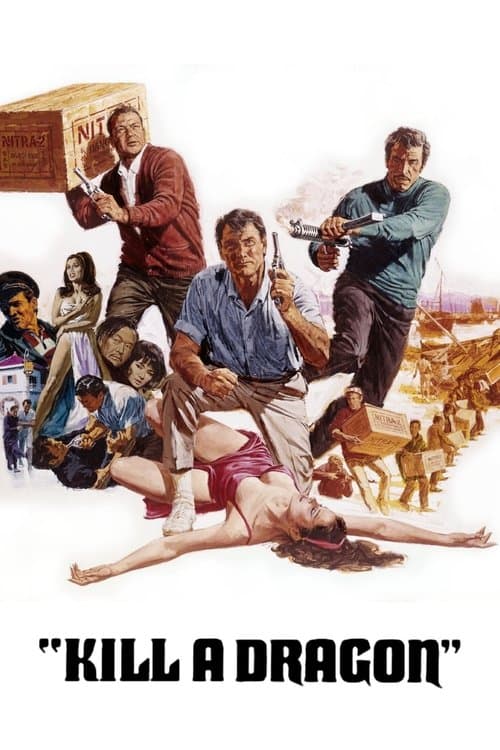 Affiche de Kill a Dragon