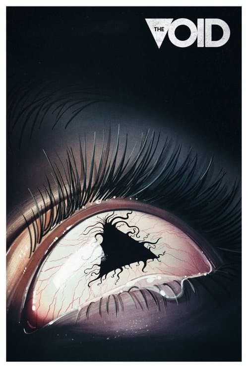 Affiche de The Void