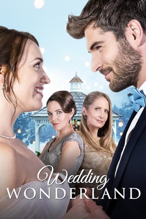 Affiche de Un mariage sous la neige