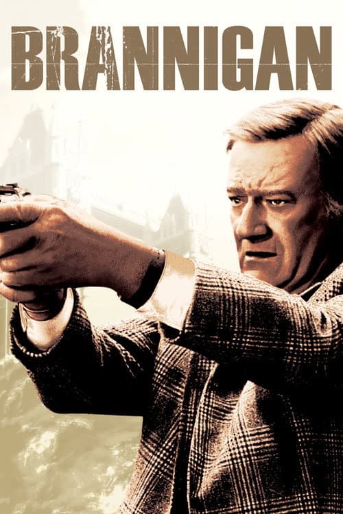 Affiche de Brannigan