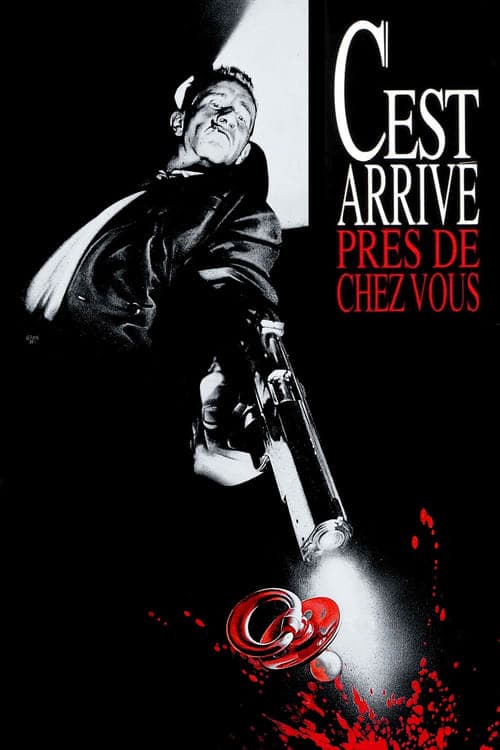 Affiche de C'est arrivé près de chez vous
