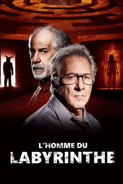 Affiche de L'Homme du labyrinthe