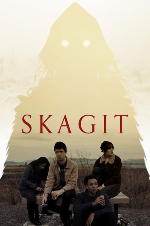 Affiche de Skagit