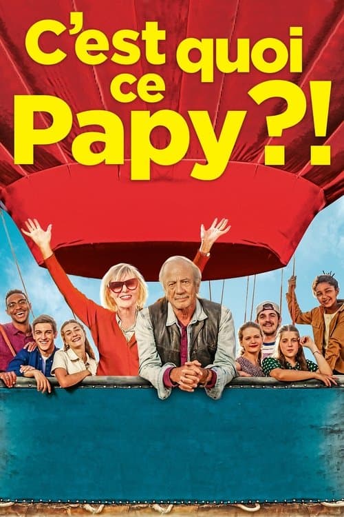 Affiche de C'est quoi ce papy ?!