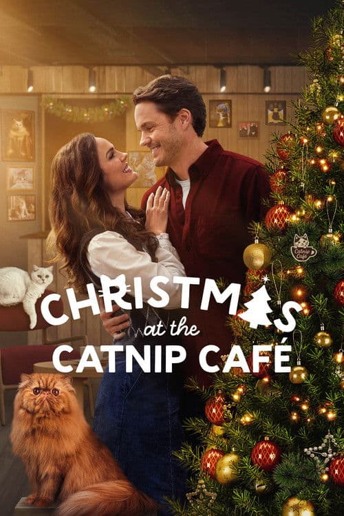 Affiche de Un Noël chatoyant !