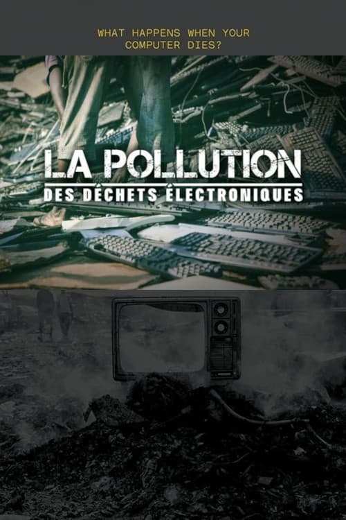 Affiche de La Pollution des déchets électroniques