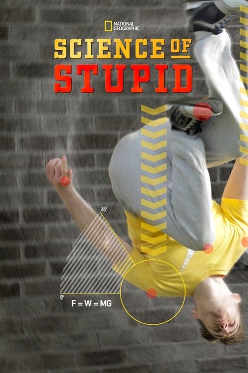 Affiche de Science of Stupid