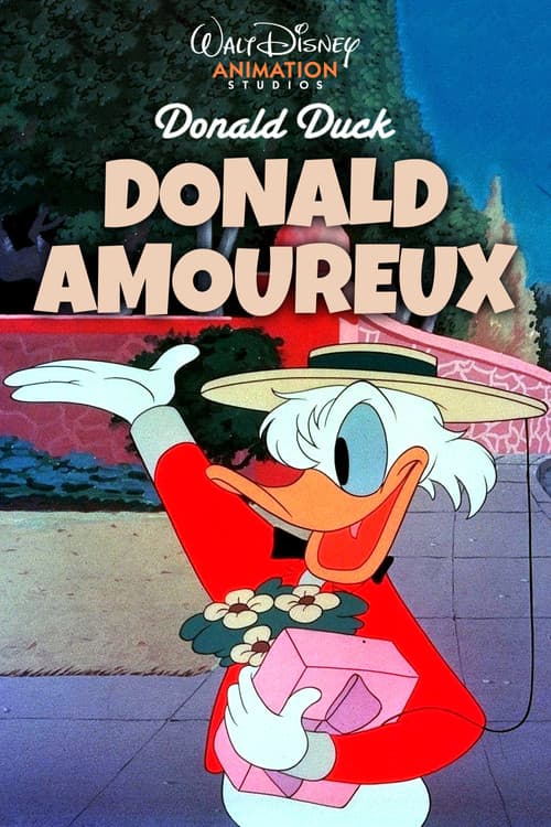 Affiche de Donald Amoureux