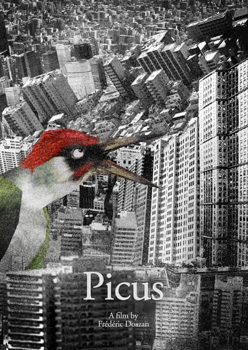 Affiche de Picus