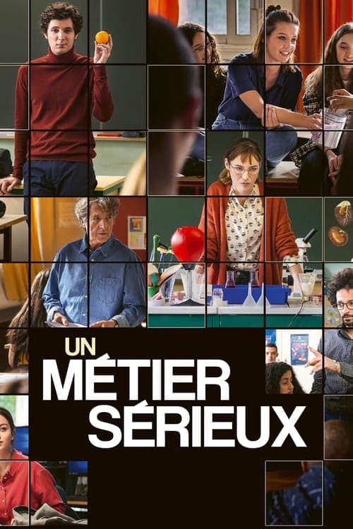 Affiche de Un métier sérieux