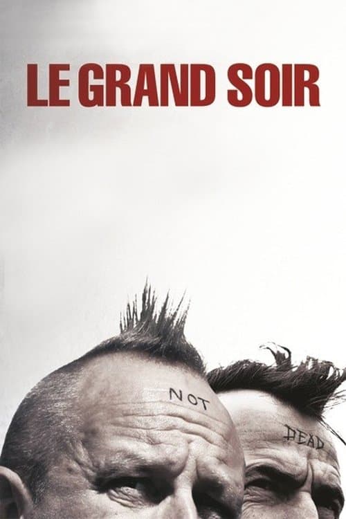 Affiche de Le Grand Soir