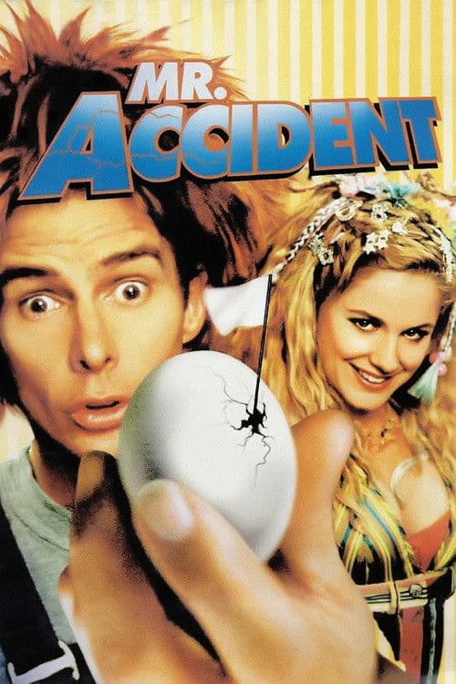 Affiche de Mr. Accident
