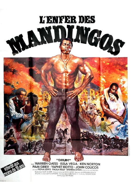 Affiche de L'enfer des mandingos