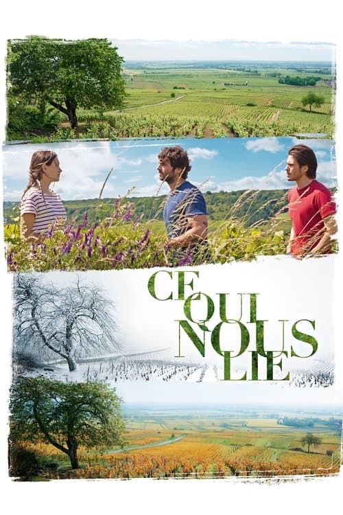 Affiche de Ce qui nous lie