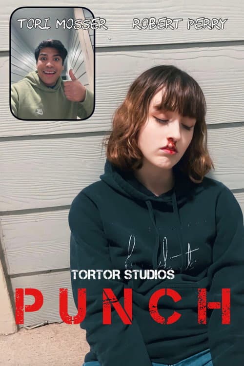 Affiche de Punch