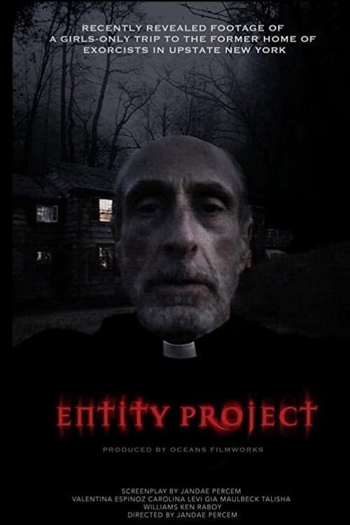 Affiche de Projet D'entité