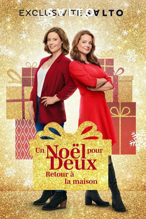 Affiche de Un Noël pour deux : Retour à la maison