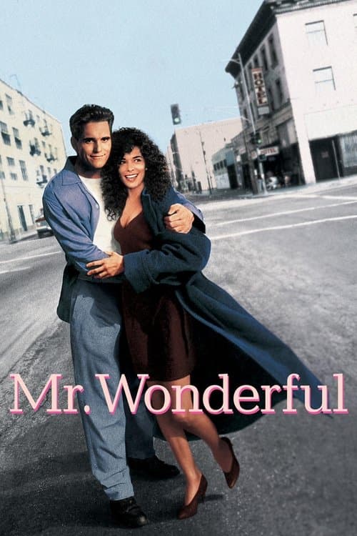 Affiche de Mr. Wonderful