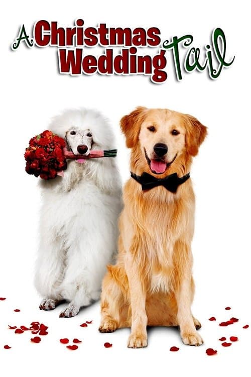 Affiche de Un mariage en cadeau