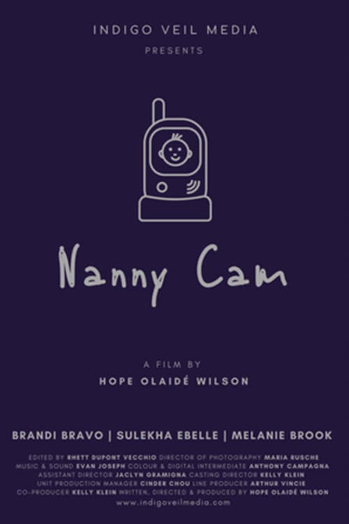 Affiche de Nanny Cam
