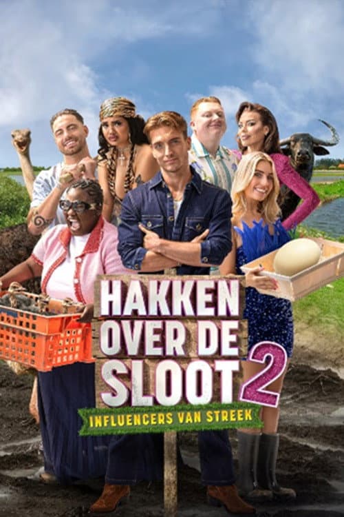Affiche de Les stars sont dans le pré